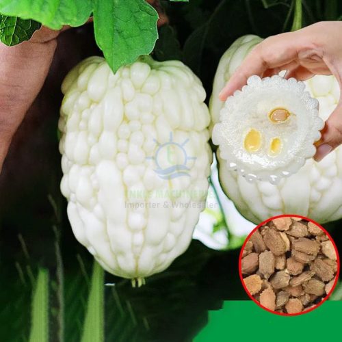 White Bitter Gourd Seeds